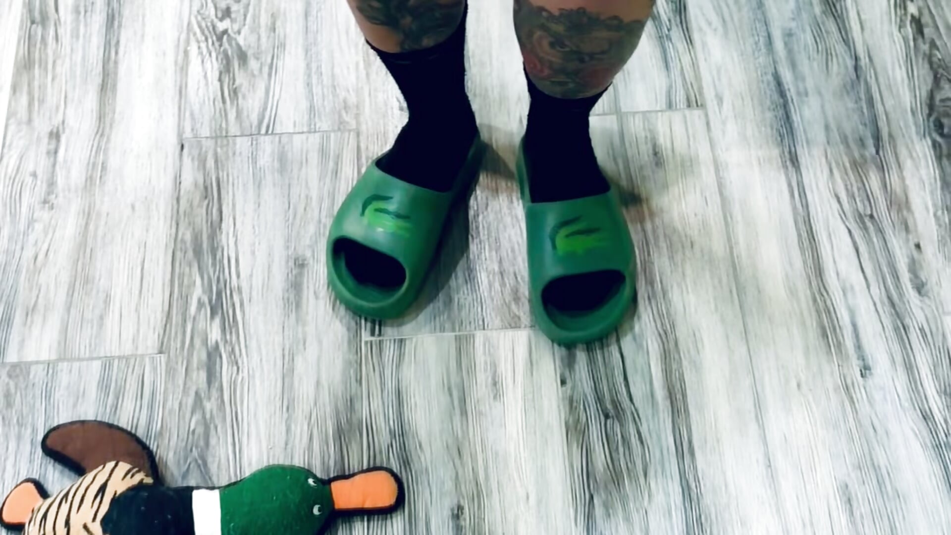 What kind of music do you like, my hero? - video od modelky/modela Cool_Freak_