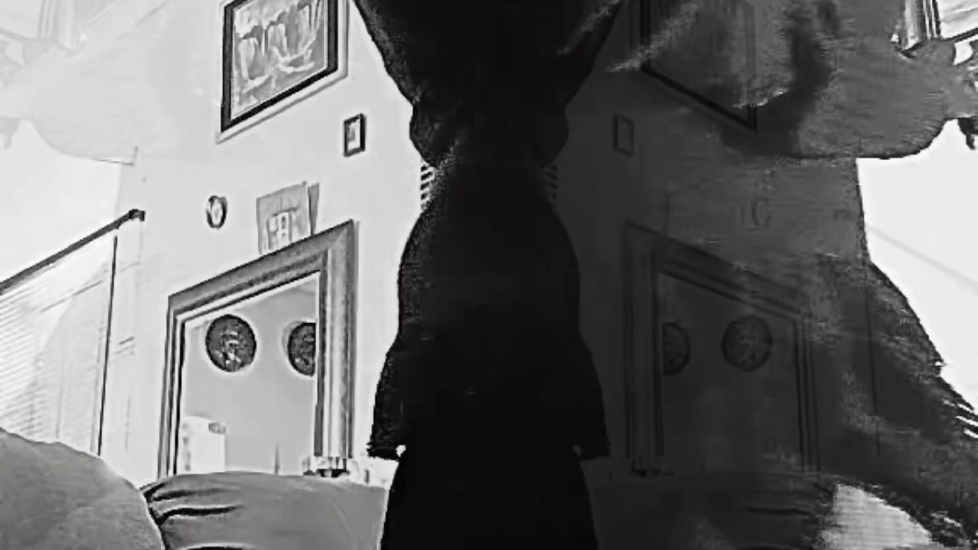 Get tune with Gucci_bx at sometime we having fun good  music 🎶 sensual - video av Gucci_Bx cam model