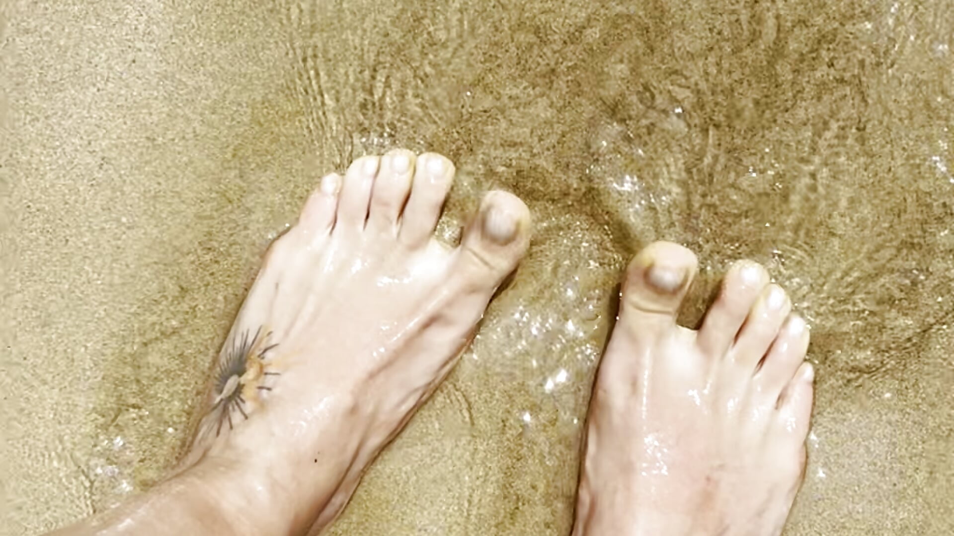 Feet in water