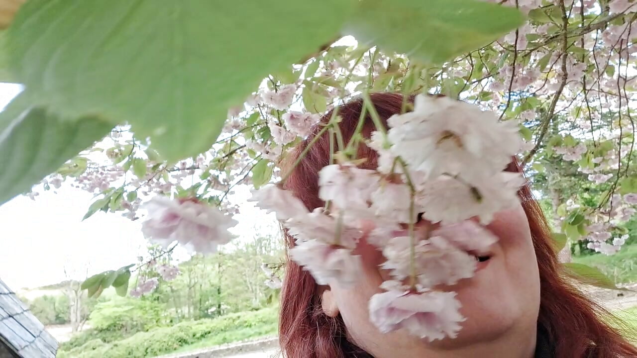 Honey and bloom - video by HoneyBBW96 cam model