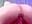 ✦ ride youre dick close up ✦ - vídeo de EffyEfans