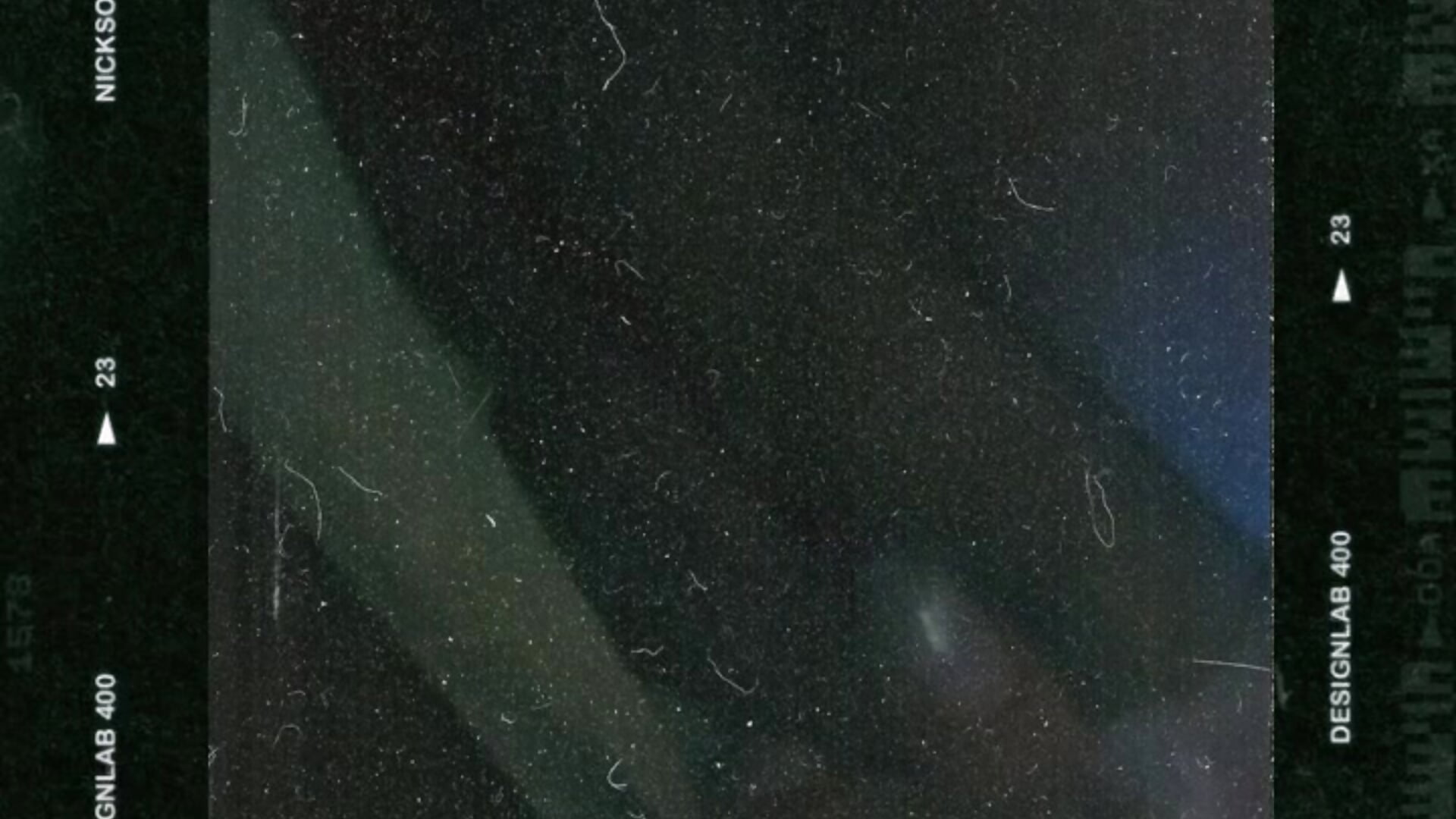 Fat cat - video van LeBimbo cam-model