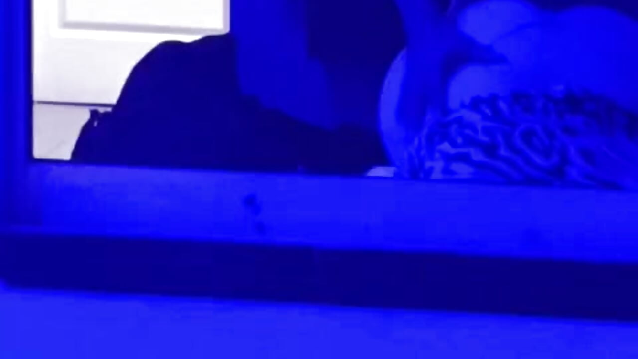 Chupada de culo
