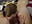 Hot Blonde and TGirl Step Sister Eat Each Other Out - video by AcrylicKateQuinn cam model