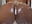 Riding and squirting on my shower!! - video by MerliaSomer cam model