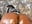 Hot black girl rides dildo until getting wet π¦ - video by MerliaSomer cam model