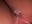 18d8d879113f49e29e95e83dc6f5ecc5 - video by Cat2525 cam model