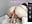 Fuck pussy from behind - video by xxxnba cam model