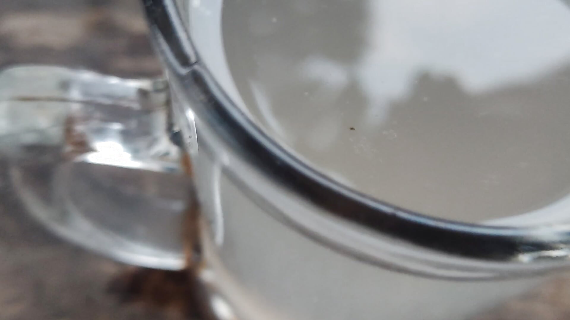 VID_20220126_070419 - video oleh mahadakha78 kamera model