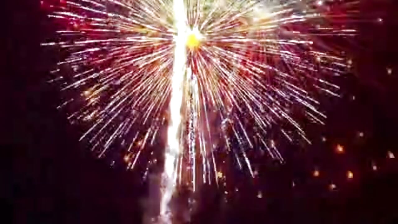 VID-20251231-WA0031 - video by dutch_prinses cam model