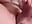 Girlfriend Facetime Videocall on Valentines Day - video by hayleex_x cam model