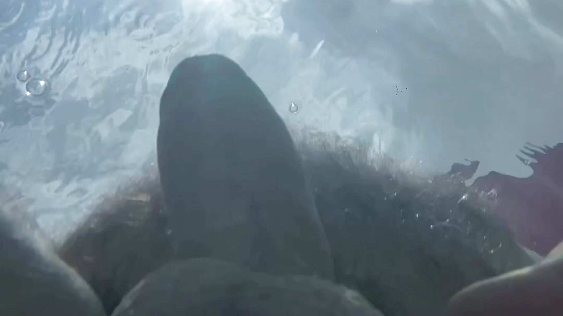 See what I do in my jacuzzi!! - vídeo de la modelo de cam DaddybearVLC