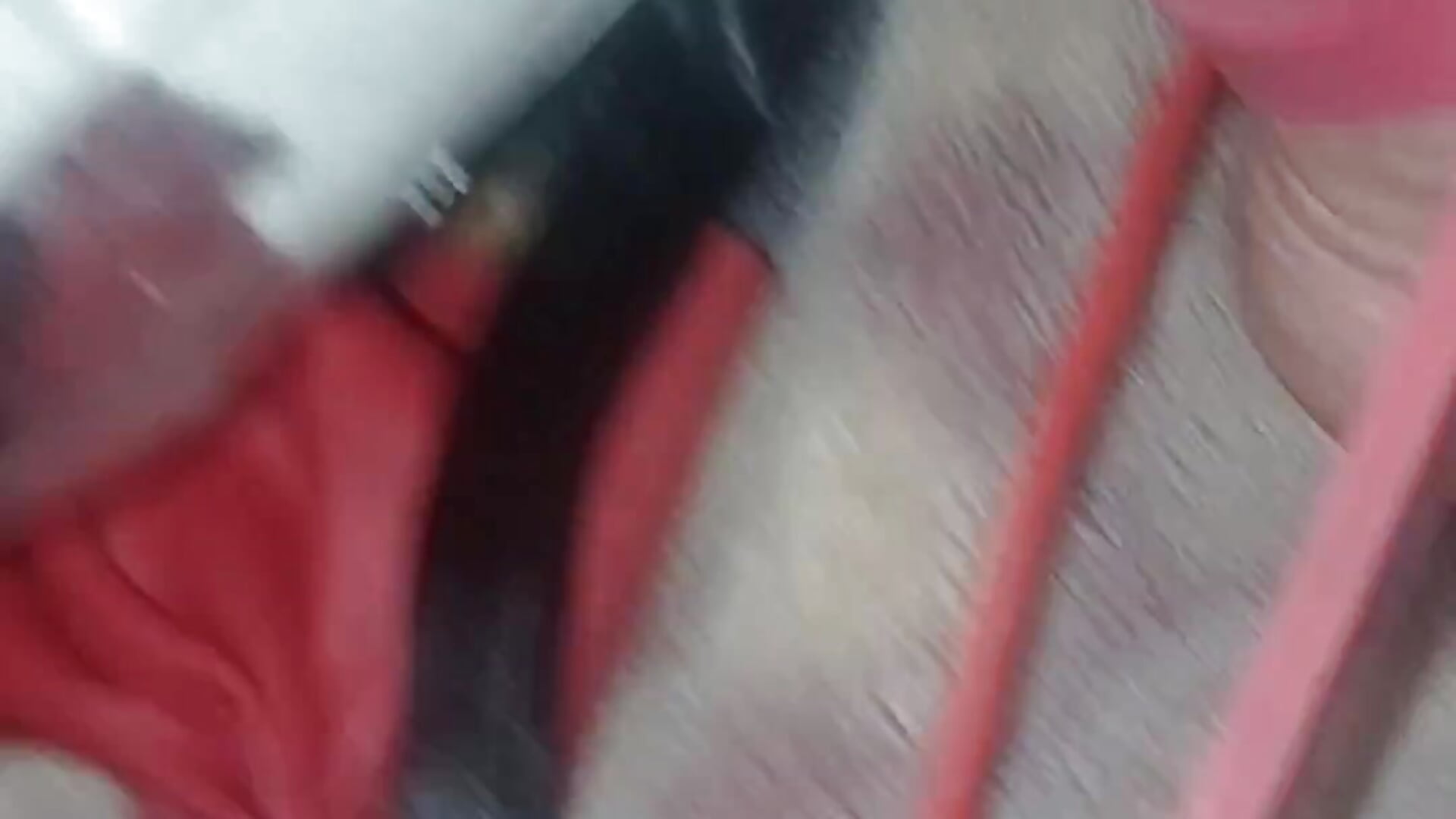 Bizarre wolf mansturbation – video af wolfsmodels