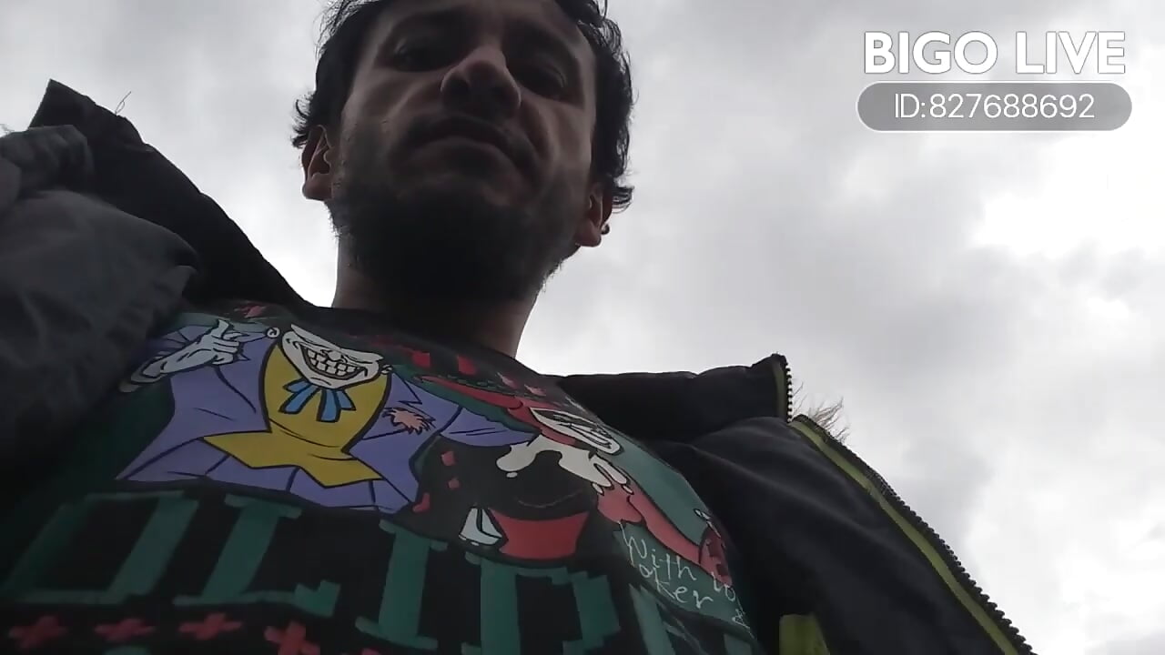 Live wolf – video af wolfsmodels