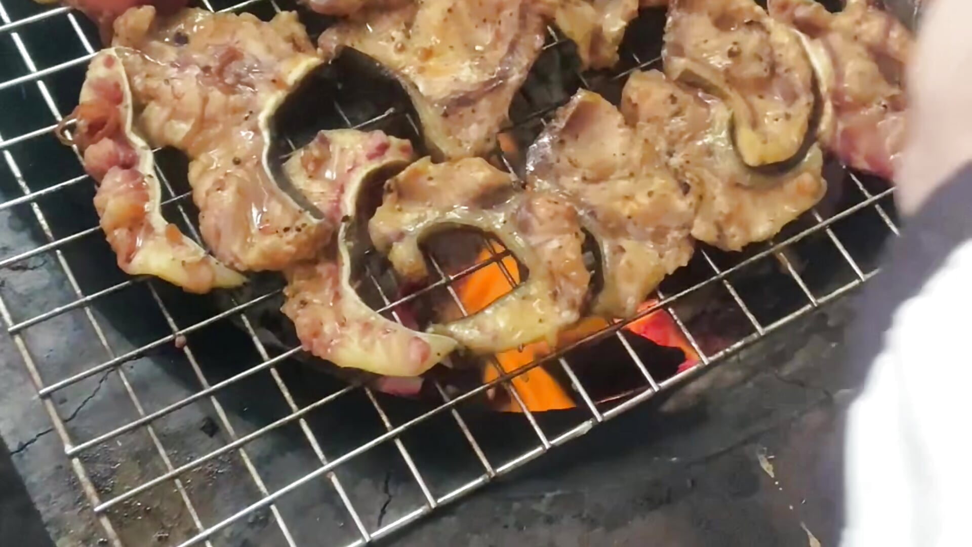 mồi