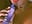 Vape time - video by Noa_Adams cam model