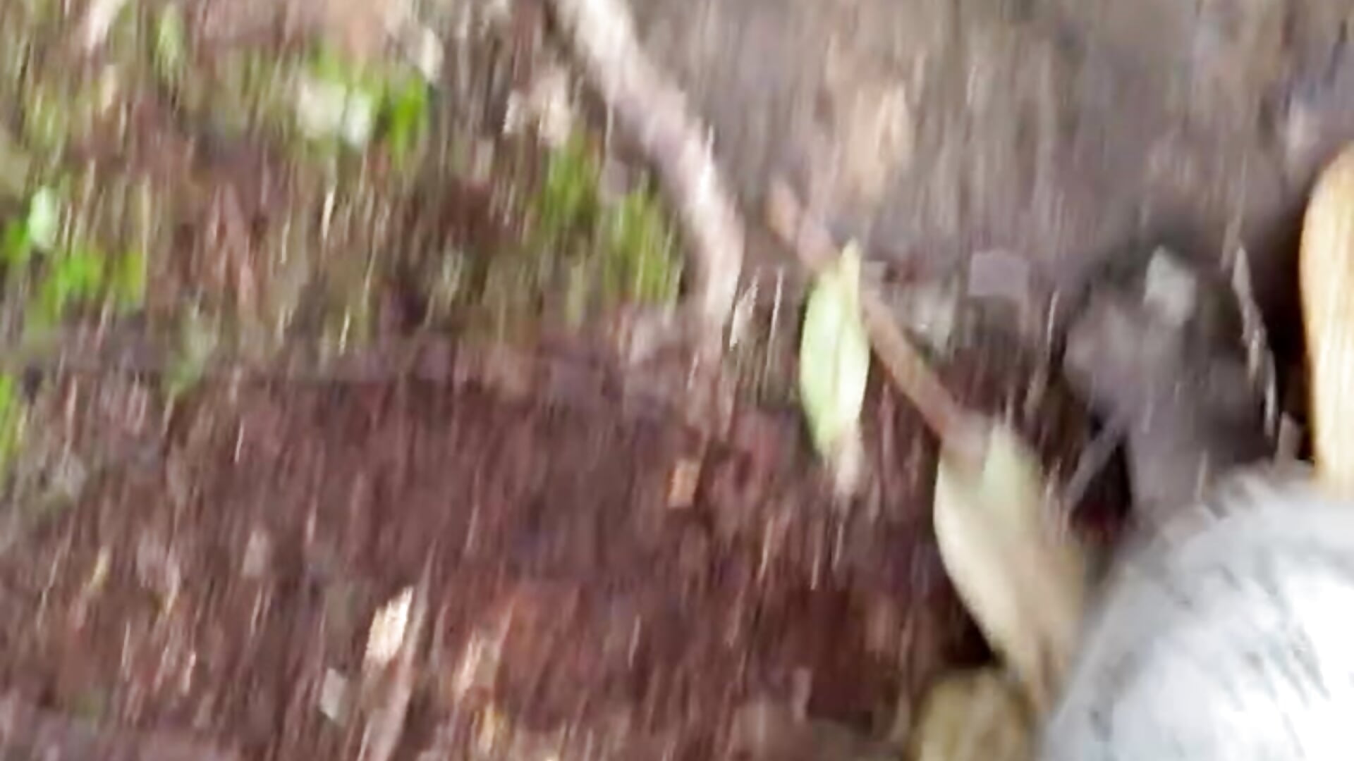 Exploring with my family - video by samantha_cherry cam model