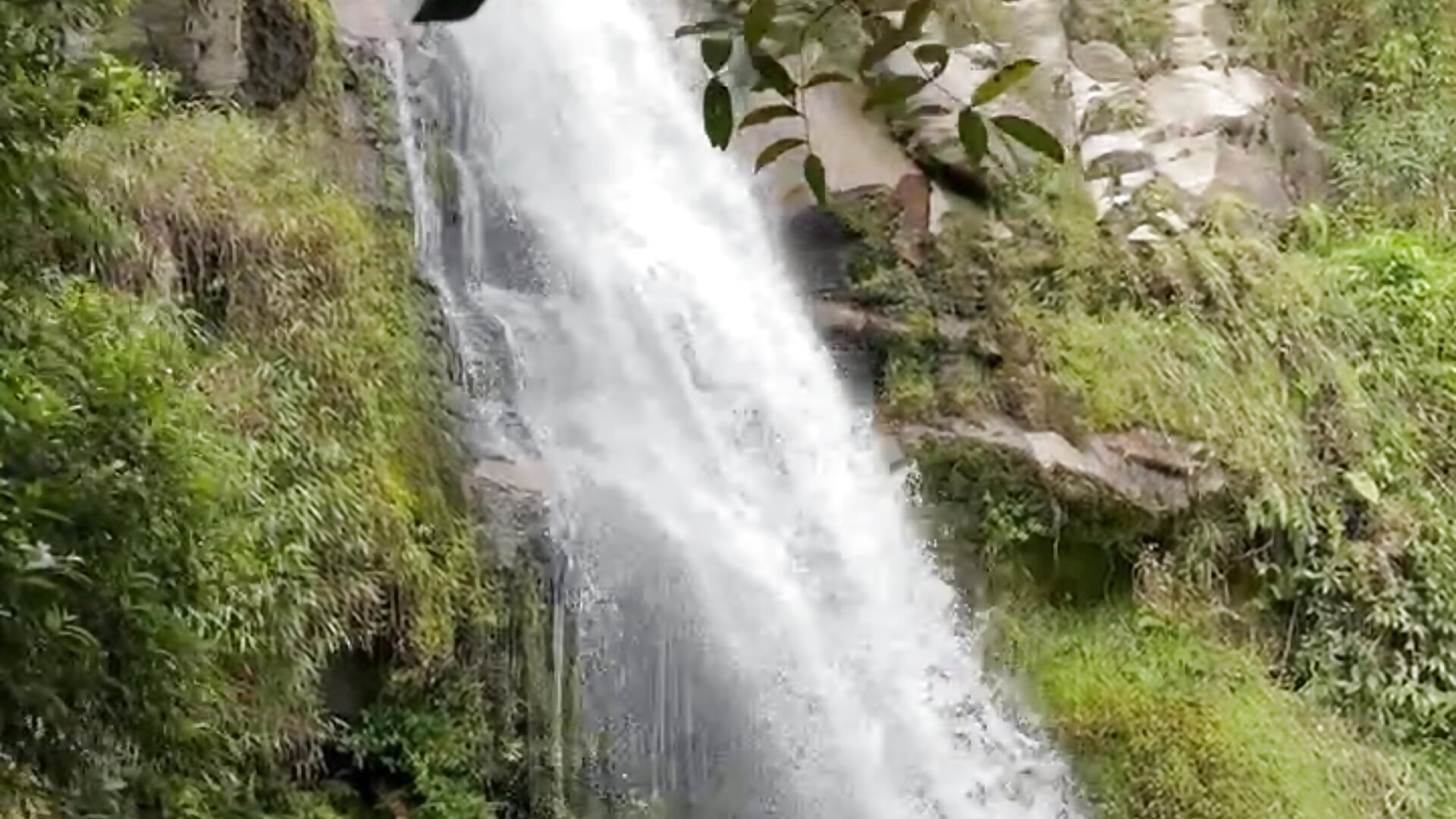 I love nature :) - video by samantha_cherry cam model