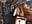 Halloween - video by ErikaLust cam model