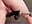 Squirt shower on bbc - video by ErikaLust cam model