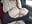 More Thruster Please!?!?! - video by GoldenFlameGoddess cam model