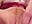 Hairy gold n pink  wet pussy - video by GoldenFlameGoddess cam model