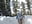 Shhh sneaking in the snow! - video by GoldenFlameGoddess cam model