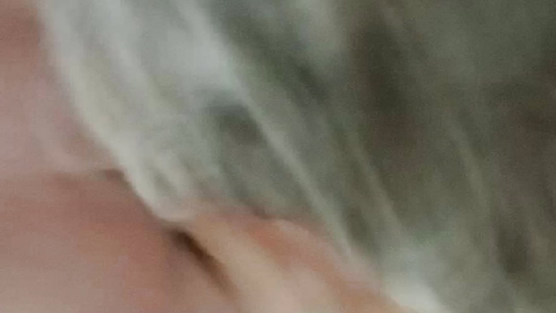 Oso Suck - video by osoandcubcam cam model