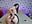 Does my ass look better with or without panties? #nakeddoggy #pantiestotheside - video by Ivy_Ice11 cam model