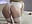 Happy Easter my fan's - video by Ivy_Ice11 cam model