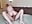 HARD & DEEP ANAL - video by MiaAndWilliam cam model