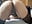 Bounce soft andrea - video by monroe_777 cam model