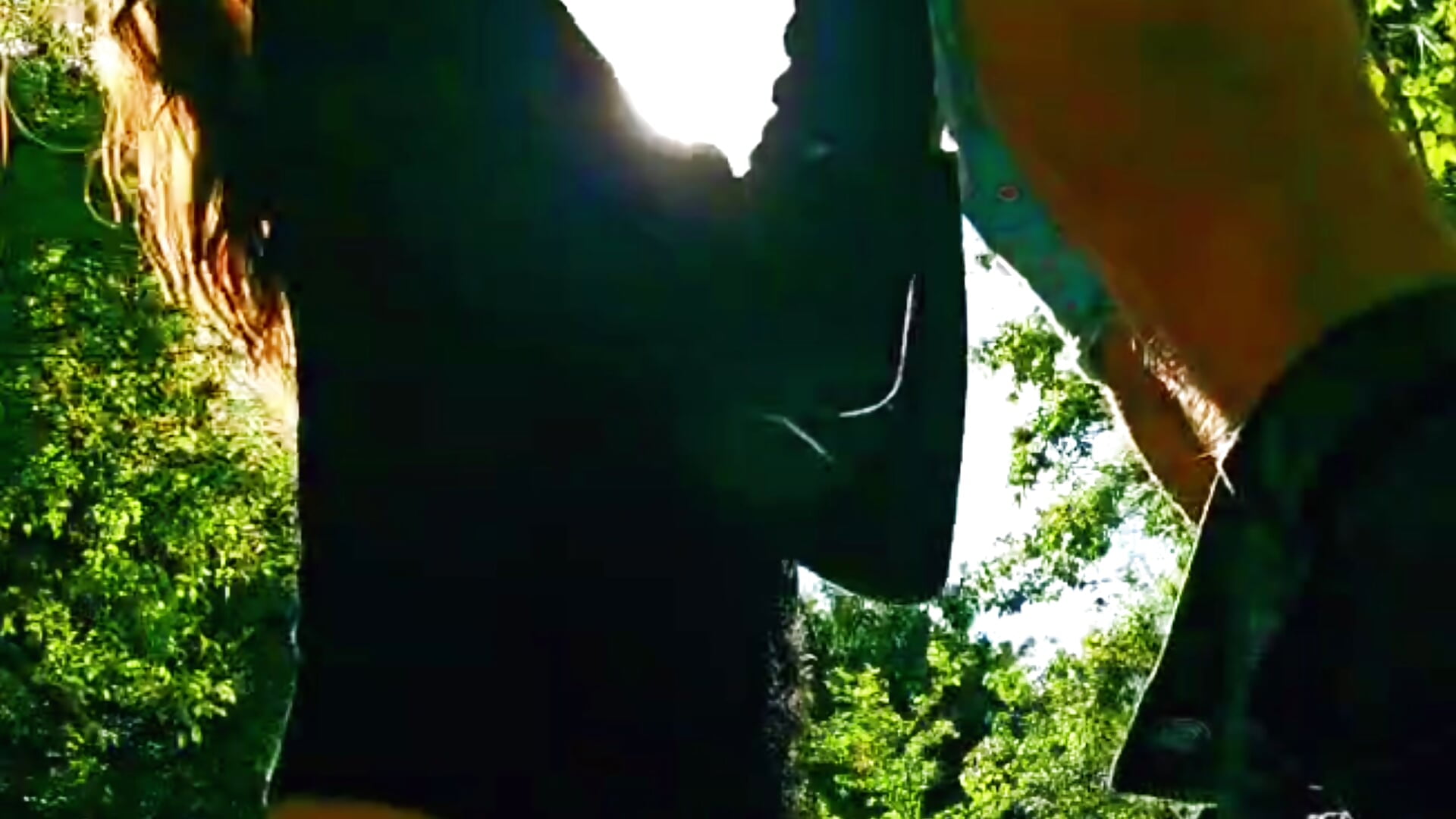 Lo succhio e mi scopa a pecora nel parco ☀️
