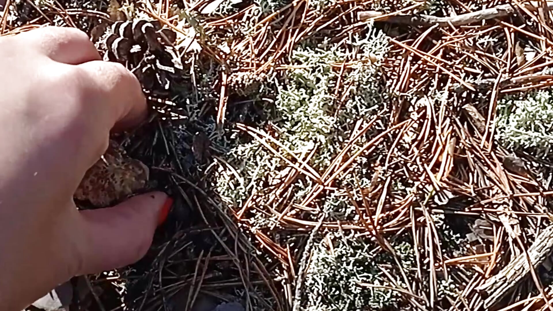 I'm just showing how I relax - відео від вебкаммоделі Your_Liza