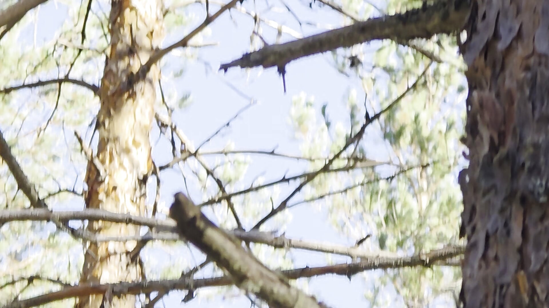 A bit or nature for your  feed 😁 - vídeo de la modelo de cam Your_Liza