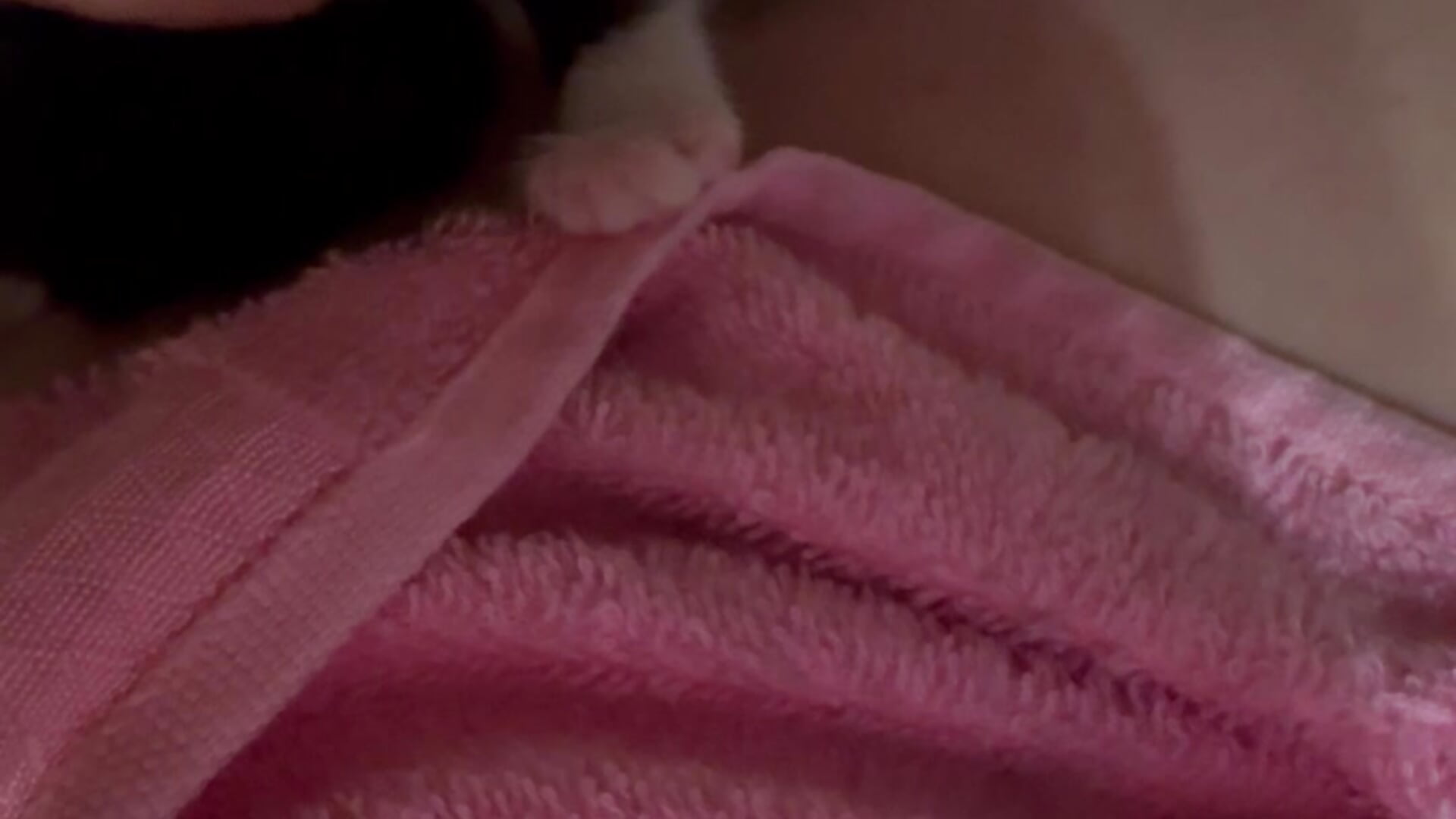 Playing with a kitten 1 - відео від вебкаммоделі Your_Liza