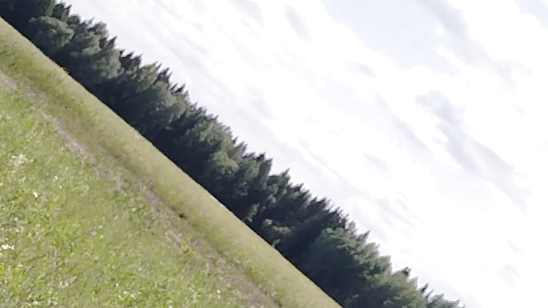 trip for berries - відео від вебкаммоделі Your_Liza