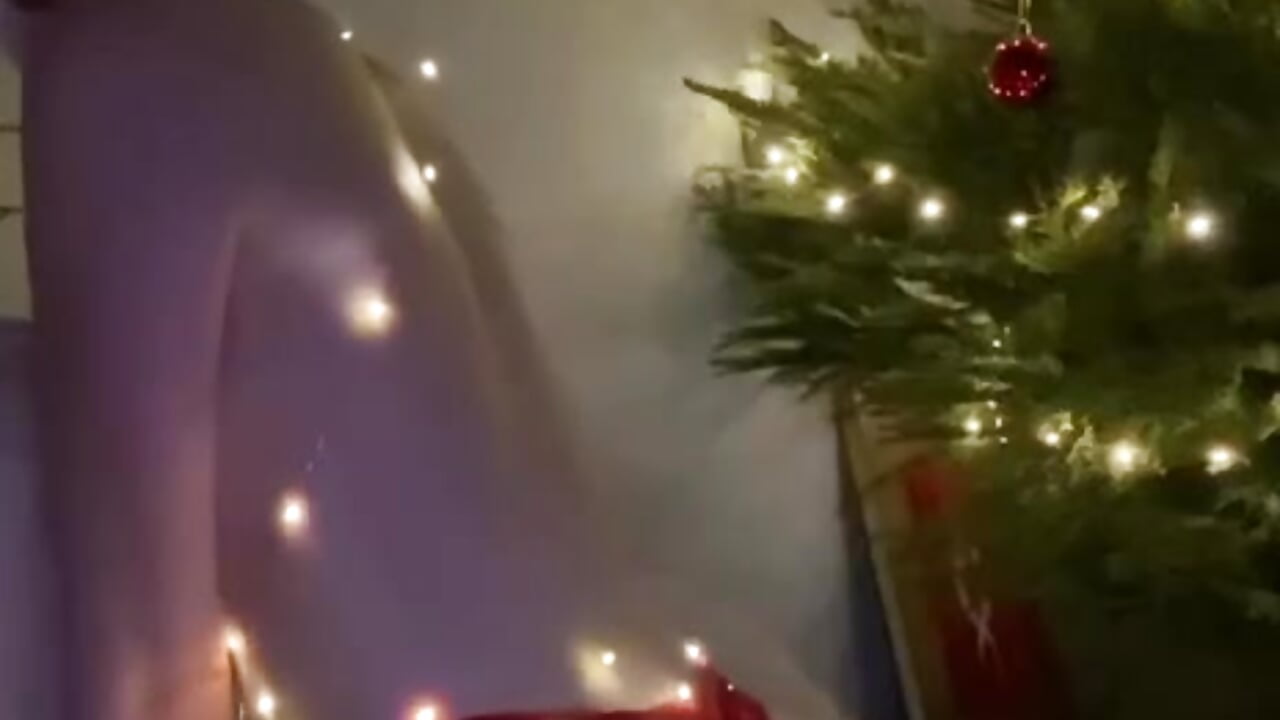 Xmas ass - video by _Killer_Smile_ cam model