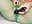 Squirt in my green pantyhose - video by MarryJay cam model