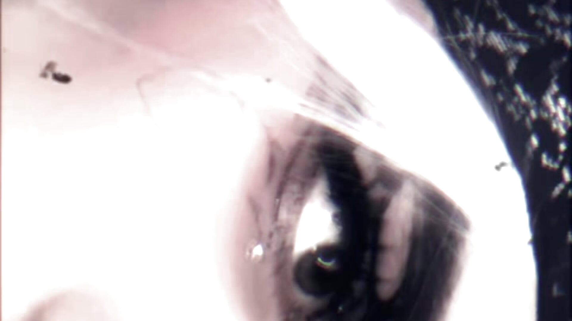 💫 - video od modelky/modela Kenny_starrK