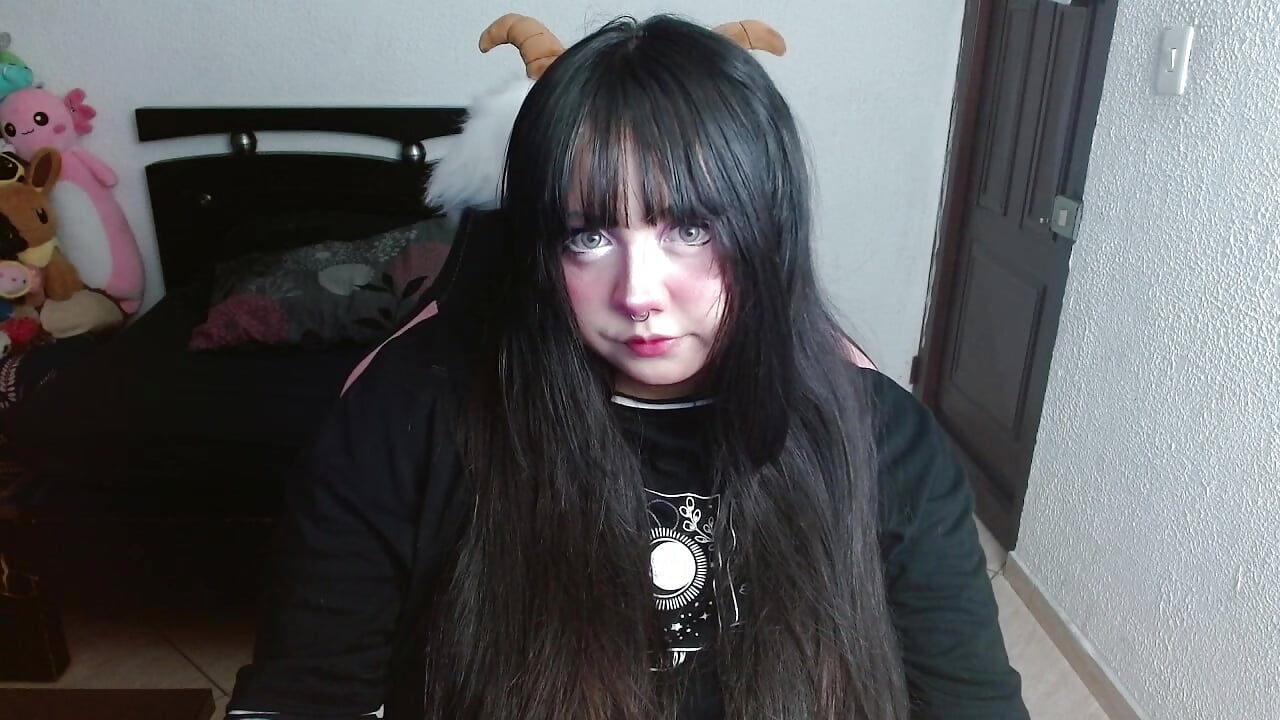 ❤️❤️ - clip cu litlle_cat model videochat