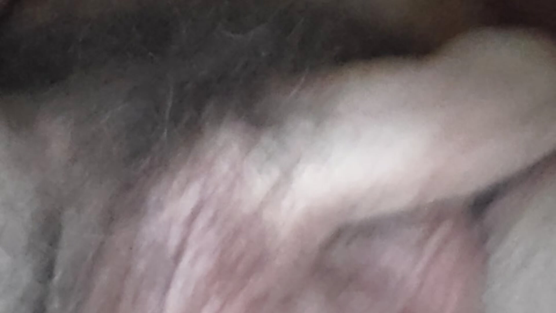 7645
