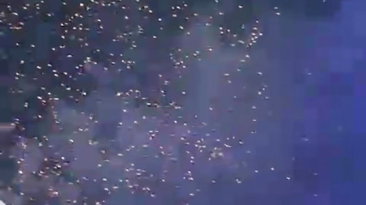 Blue vibes - AcidMilo 캠 모델의 동영상