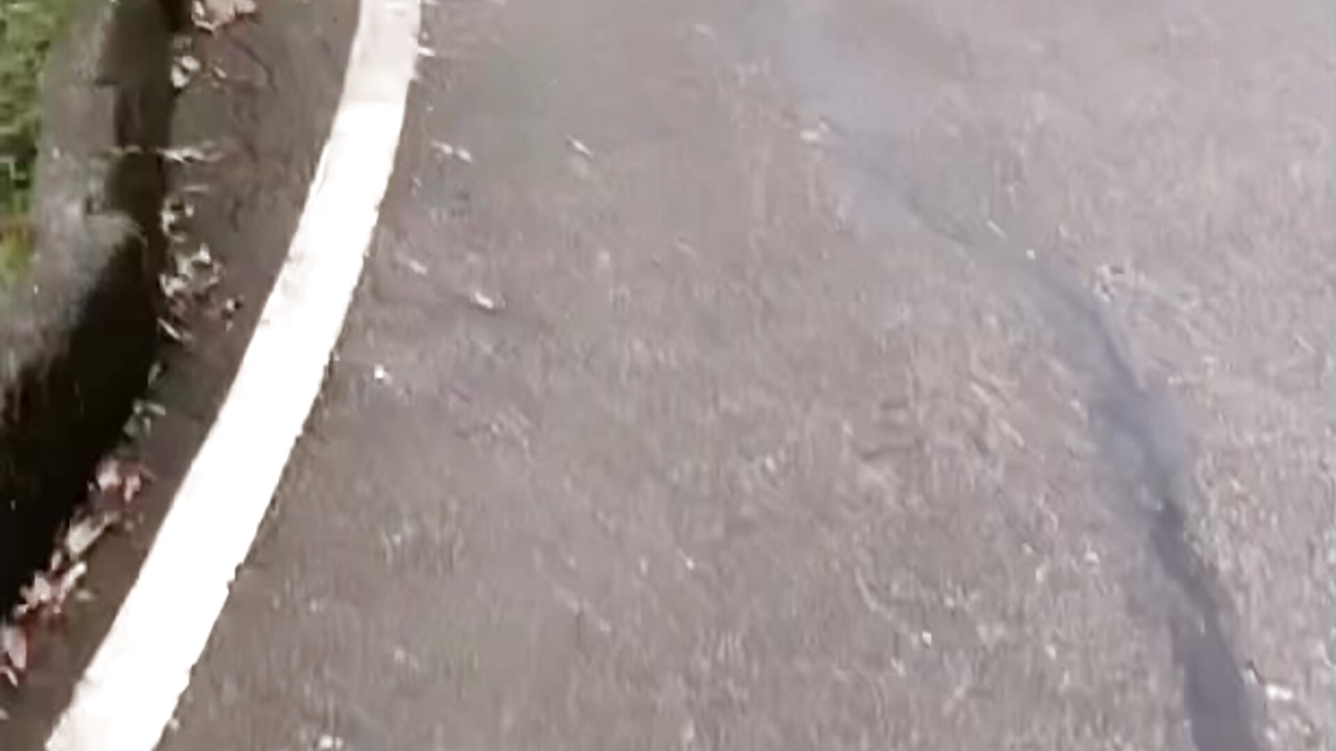 Running a little– perlacobre999 kameramodell videója