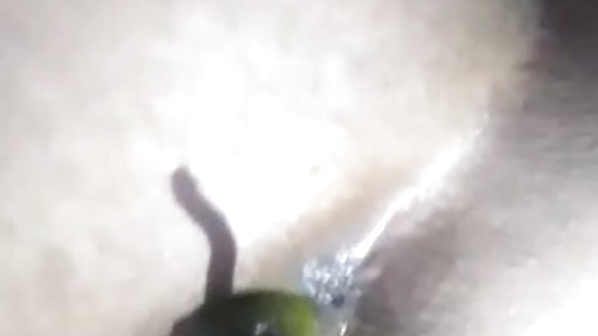 First ass hole fuck by - vidéo du modèle de showcams BROWN_INDIAN_DADDY