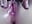 extremely wet and tasting it - vídeo de la modelo de cam SakuraLee_