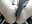 Big black cock + milk mmm - vídeo de la modelo de cam SakuraLee_