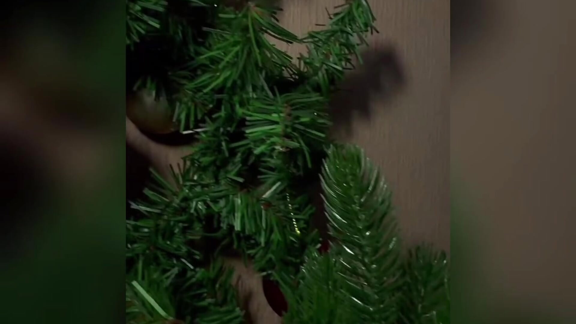 Merry Xmas