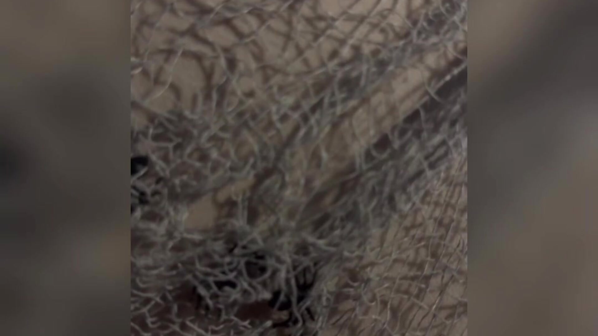 Happy Helloween - Video von _Anita_Blair_ Cam-Model