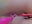 Double lush - video di camille-rose
